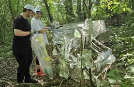 Brojni volonteri uspješno očistili Dravsku šumu i obalu rijeke Drave