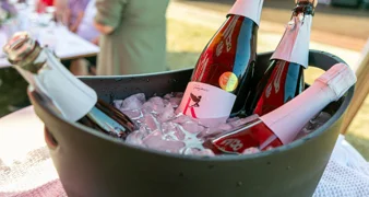 Vinski park ponovno okupio ljubitelje vina i dobre zabave u Sračincu