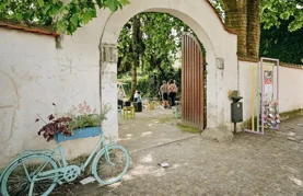 Birajte između Festivala dvorišta, koncerata, sporta...