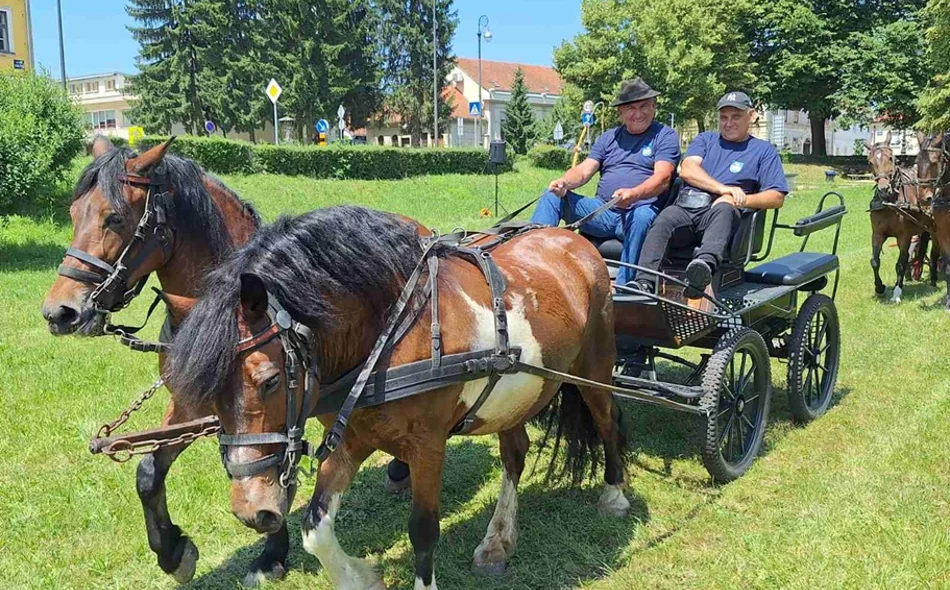 FOTO Konji i kočije na Starome gradu  privlačili pažnju brojnih građana