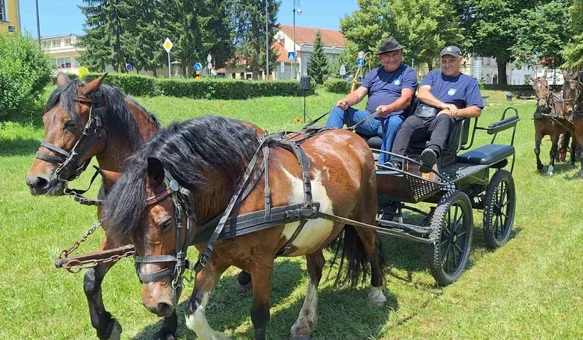 FOTO Konji i kočije na Starome gradu  privlačili pažnju brojnih građana