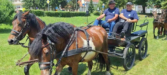 FOTO Konji i kočije na Starome gradu  privlačili pažnju brojnih građana