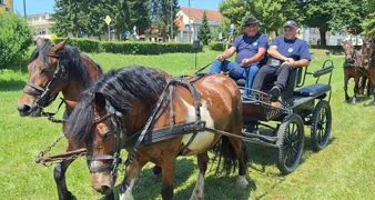 FOTO Konji i kočije na Starome gradu  privlačili pažnju brojnih građana