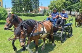 Ne propustite Dan kočija na Starom gradu