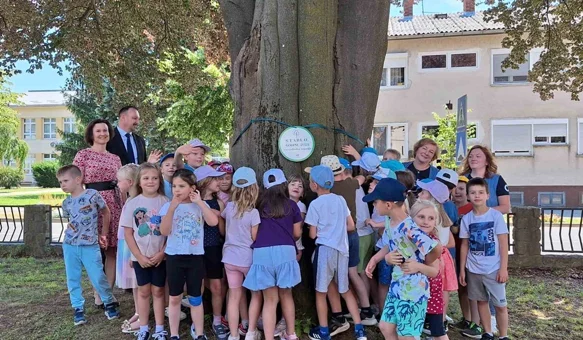 Crvenolisna bukva priča stoljetnu novomarofsku povijest