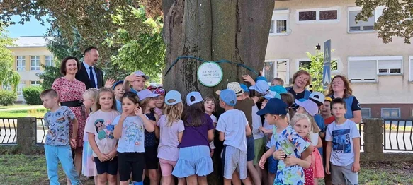 Crvenolisna bukva priča stoljetnu novomarofsku povijest