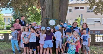 Crvenolisna bukva priča stoljetnu novomarofsku povijest