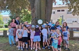 Crvenolisna bukva priča stoljetnu novomarofsku povijest