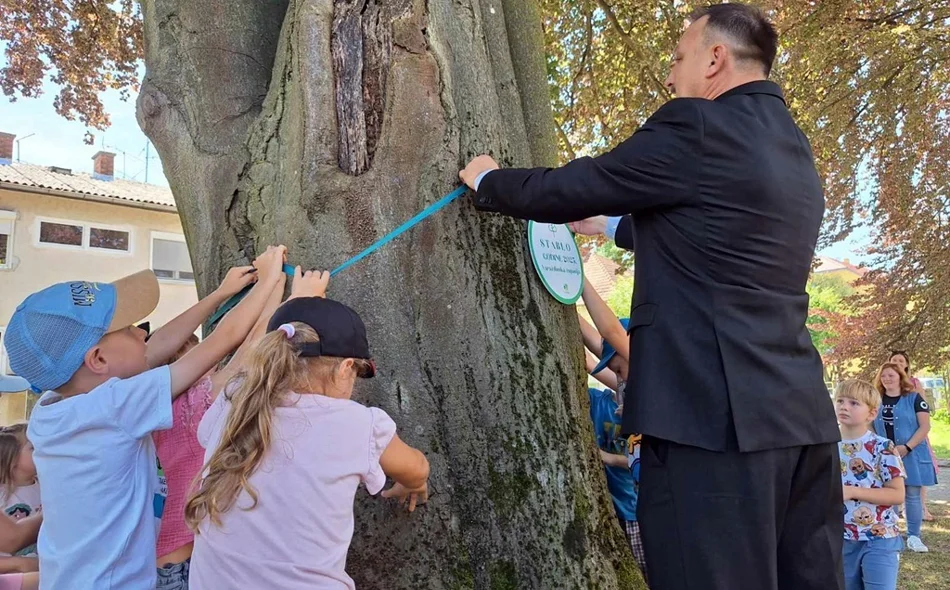 Crvenolisna bukva priča stoljetnu novomarofsku povijest