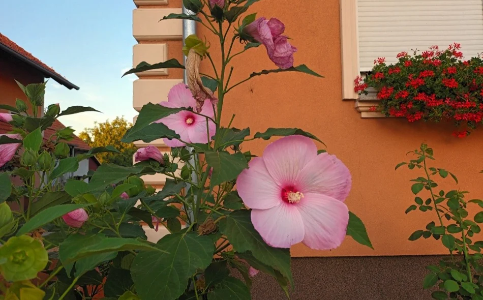 Općina Jalžabet nagrađuje najljepše uređene balkone i okućnice