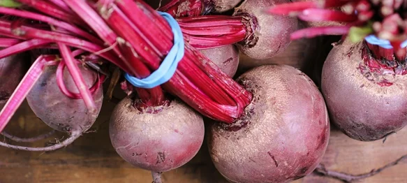 Pomaže u liječenju slabokrvnosti djece i mladih