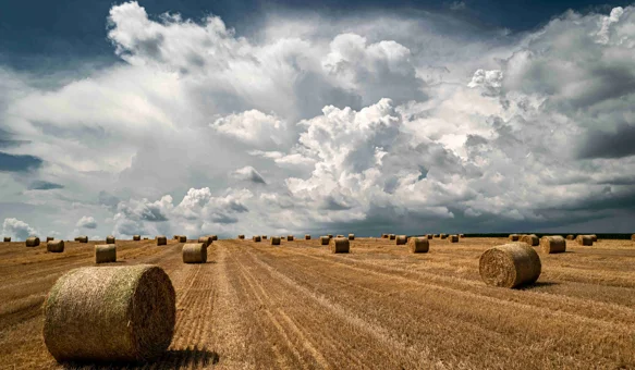 Zabilježite čudo sela i osvojite nagrade!