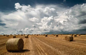 Zabilježite čudo sela i osvojite nagrade!