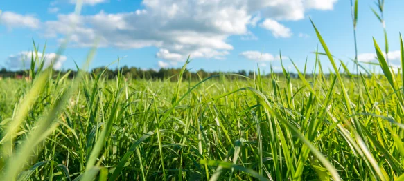 Općina Bednja: &quot;Održavajte svoje površine!&quot;
