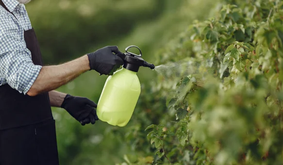 Naučite više o sigurnoj primjeni pesticida