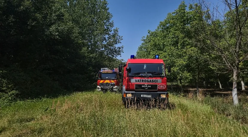 U prevrtanju traktora u šumi poginuo 41-godišnjak