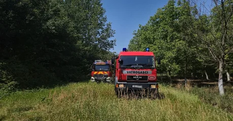 U prevrtanju traktora u šumi poginuo 41-godišnjak