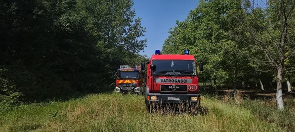 U prevrtanju traktora u šumi poginuo 41-godišnjak