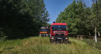 U prevrtanju traktora u šumi poginuo 41-godišnjak