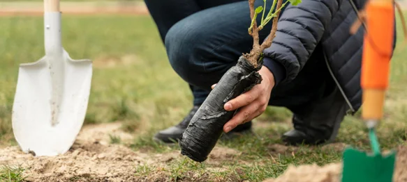Grad Novi Marof dodjeljuje potpore za nabavu sadnica