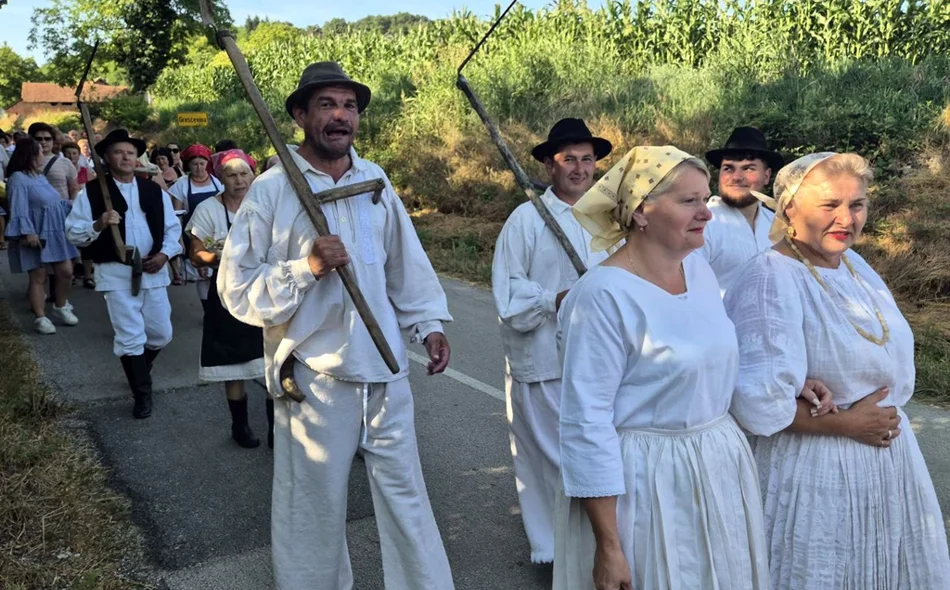 Brojni mještani sudjelovali u žetvi raži