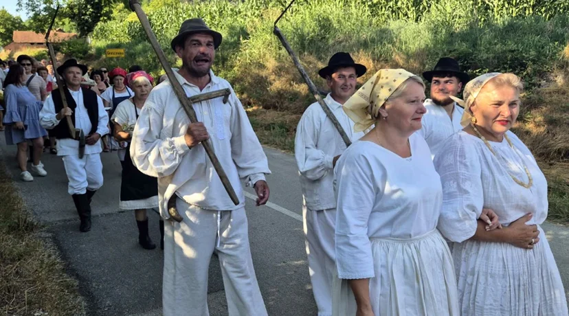 Brojni mještani sudjelovali u žetvi raži