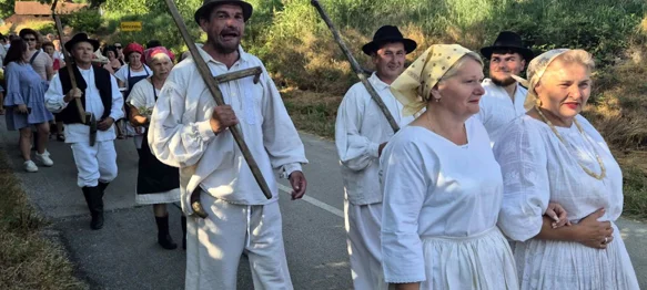 Brojni mještani sudjelovali u žetvi raži