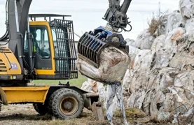 Poziv HDZ-a: &bdquo;Podržite peticiju protiv poskupljenja odvoza otpada&rdquo;