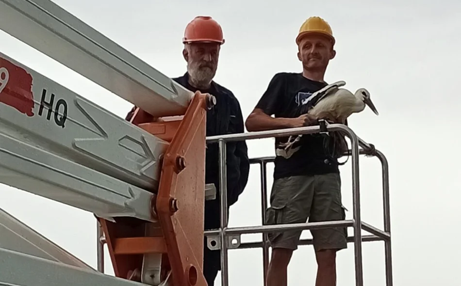 Zahvaljujući zajedničkoj brizi spašena mlada bijela roda