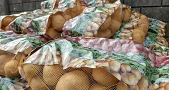 U Belici obilježen Dan polja krumpira