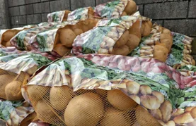 U Belici obilježen Dan polja krumpira