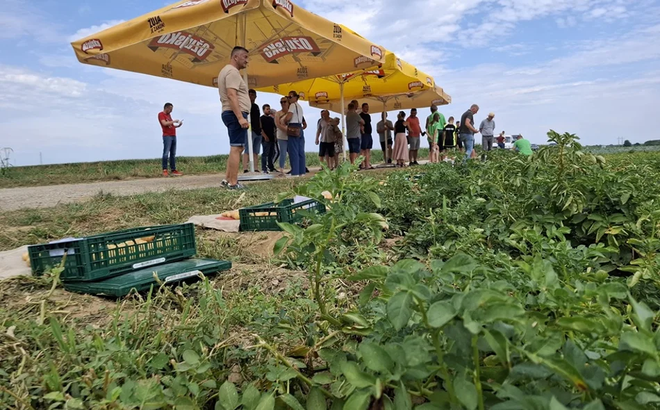 Nove sorte kao odgovor na izazove sve ekstremnijih uvjeta