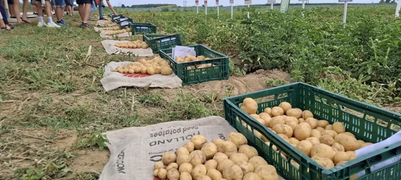 Suša ga je izmorila, neće ga biti dovoljno, ali cijena ne bi smjela divljati