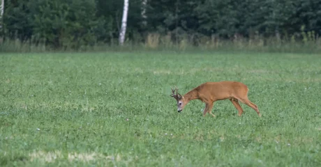 Dogovoreno produljenje zakupa zajedničkih lovišta na deset godina