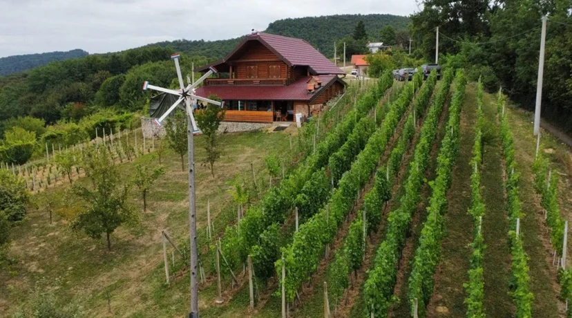 U Leskovcu Topličkom podignut klopotec – počinju pripreme za berbe!
