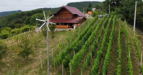 U Leskovcu Topličkom podignut klopotec – počinju pripreme za berbe!