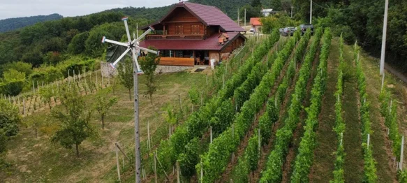 U Leskovcu Topličkom podignut klopotec &ndash; počinju pripreme za berbe!