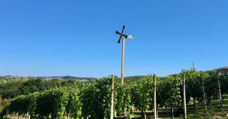 Zvuk klopoteca ponovno će odjekivati Beretincem