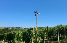 Zvuk klopoteca ponovno će odjekivati Beretincem