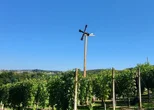 Klopotec će ponovno označiti početak dozrijevanja grožđa u Varaždinskim Toplicama