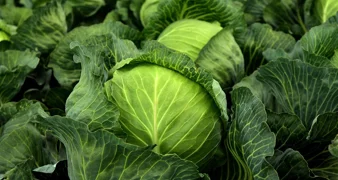 U Varaždinu krali bicikle i novce, kod Ludbrega dvije tone zelja