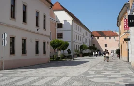 Otvorene prijave za projekte udruga: Grad Varaždin financira javne potrebe u 2026.