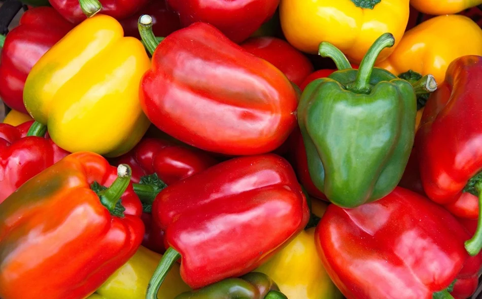 Raznih boja, oblika i okusa, mogu sadržavati i do četiri puta više vitamina C od naranče