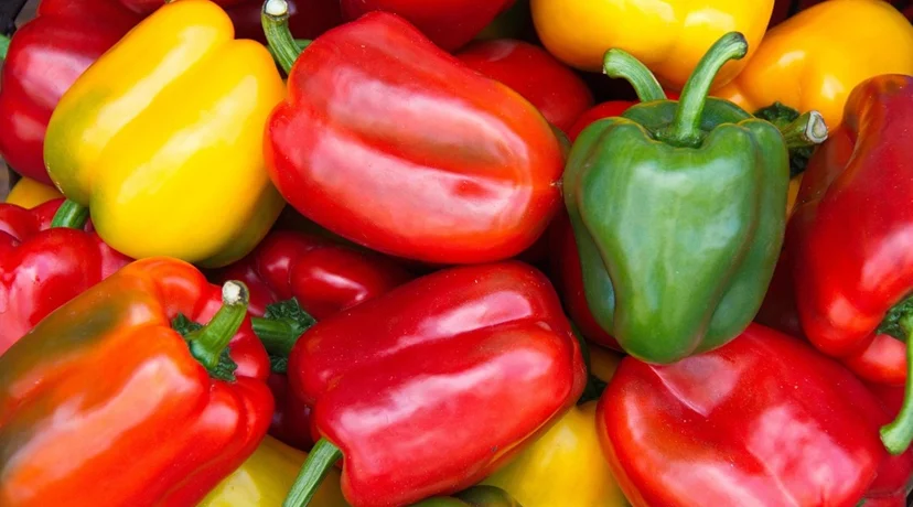 Raznih boja, oblika i okusa, mogu sadržavati i do četiri puta više vitamina C od naranče