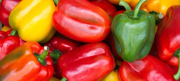 Raznih boja, oblika i okusa, mogu sadržavati i do četiri puta više vitamina C od naranče