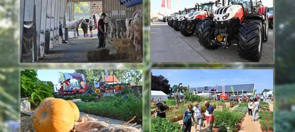 AGRA 2025 donosi vrhunska vina, sajamske vrtove, stočarske izložbe i najmodernije strojeve