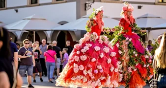 VIDEO Uživajte u plesu gracioznosti, umijeća i vizualne čarolije na štulama
