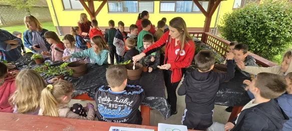 Uredili zelene kutke za učenje, druženje i povezivanje s prirodom