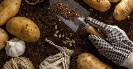 Vrt u rujnu: Kako sačuvati ljetne plodove i pripremiti tlo