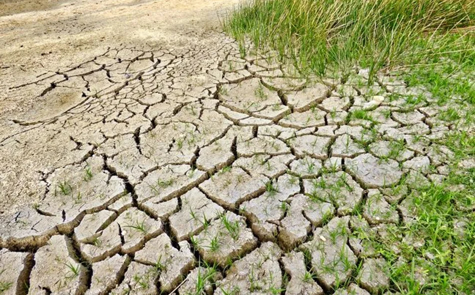 Proglašena prirodna nepogoda zbog suše na području još jednog grada